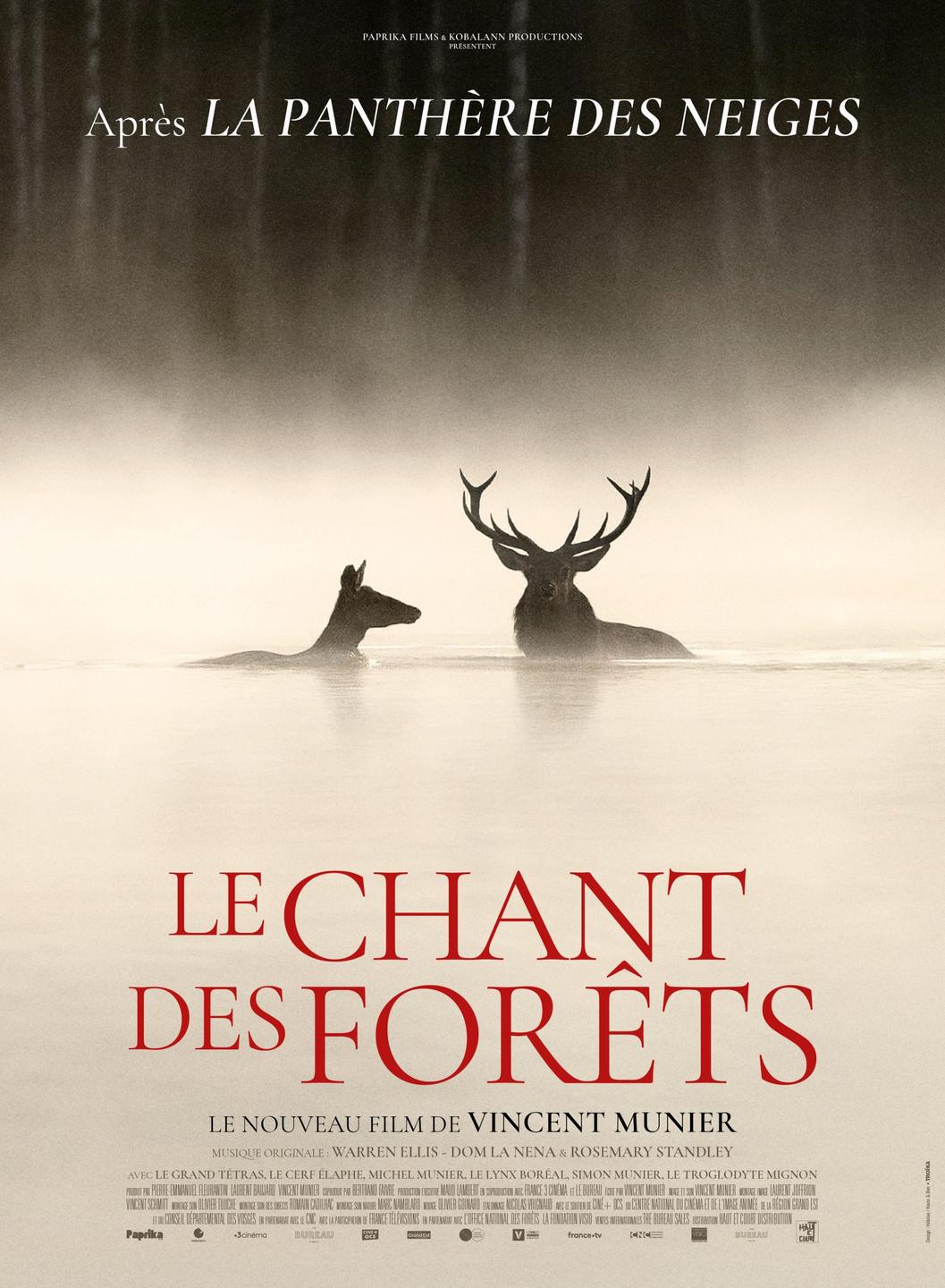 Affiche LE CHANT DES FORËTS