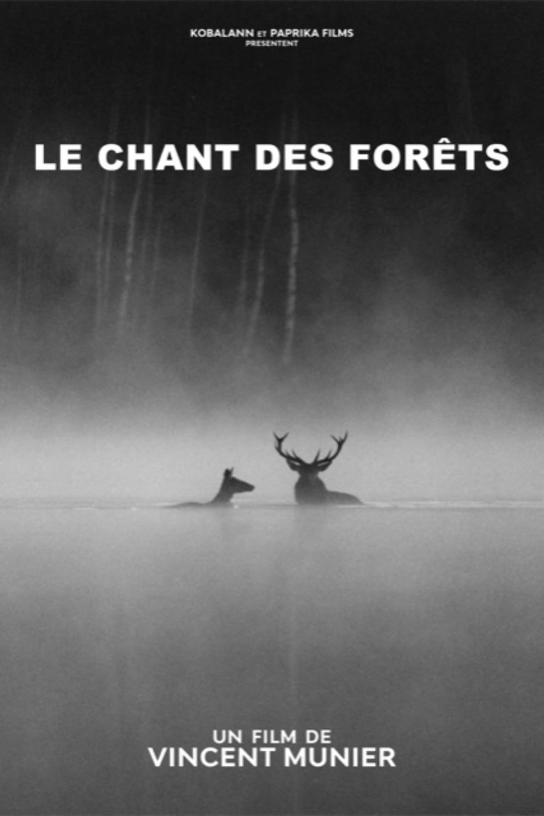 Affiche Le Chant des forêts